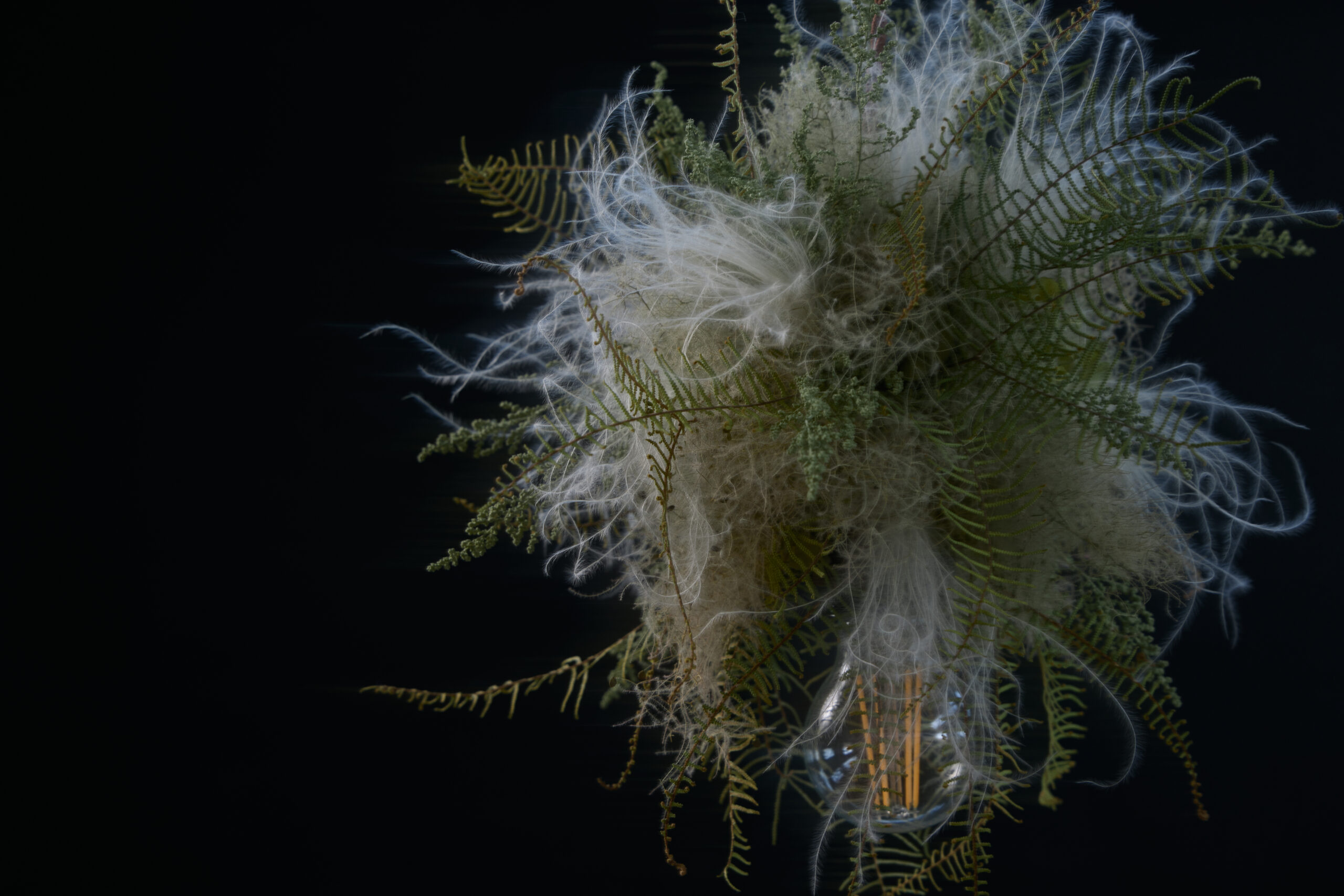 ジュエリー画像3